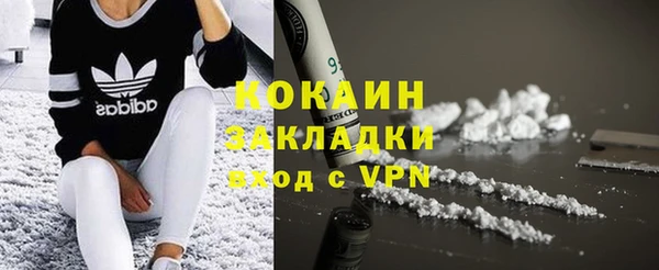 шишки Абинск