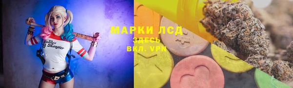 индика Алексеевка