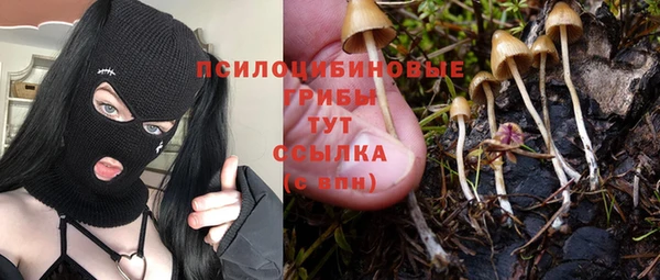 СК Абдулино