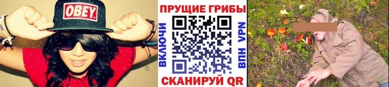 Галлюциногенные грибы MAGIC MUSHROOMS  kraken ССЫЛКА  Советская Гавань 