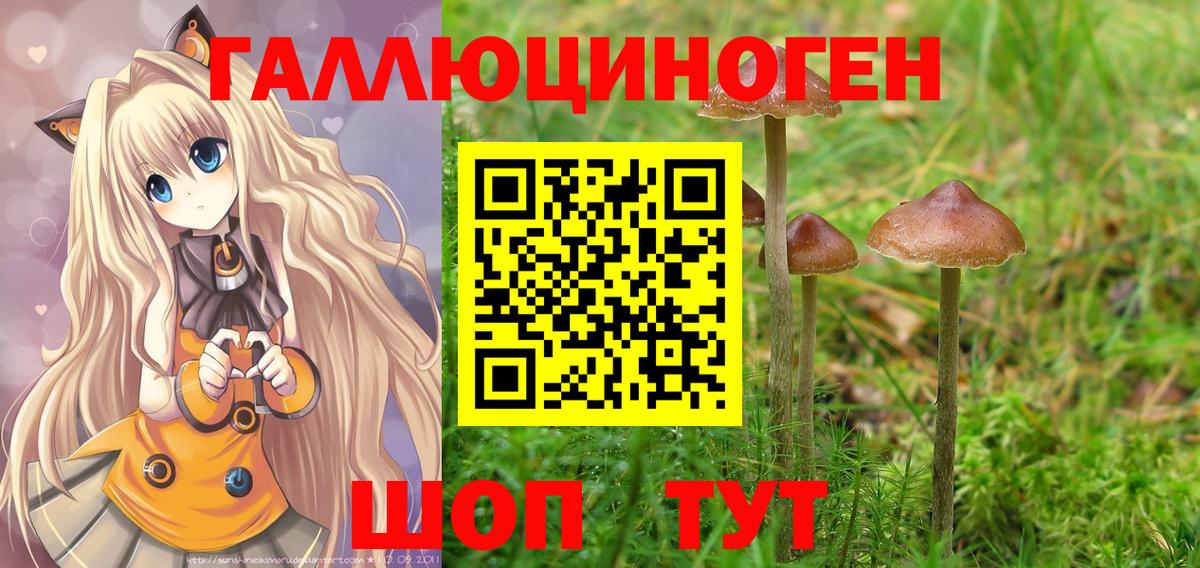 Псилоцибиновые грибы MAGIC MUSHROOMS  Вход с VPN  Советская Гавань  Галлюциногенные грибы Psilocybine cubensis 