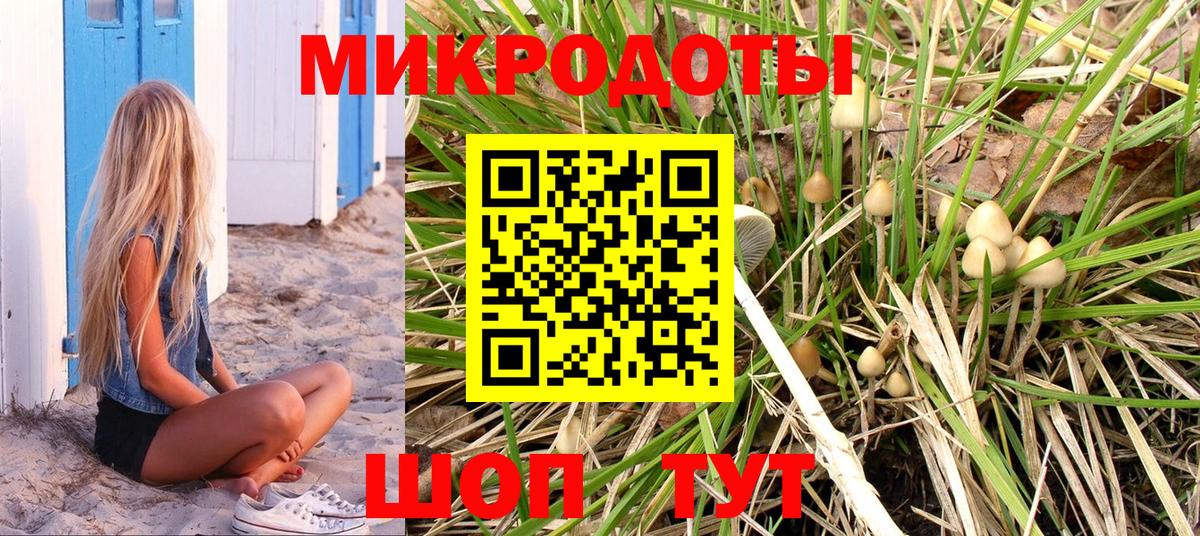 Псилоцибиновые грибы Cubensis Советская Гавань
